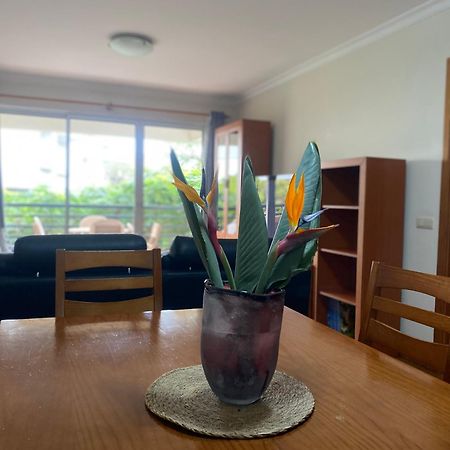 Apartamento Costa Do Sol V Funchal  Eksteriør billede