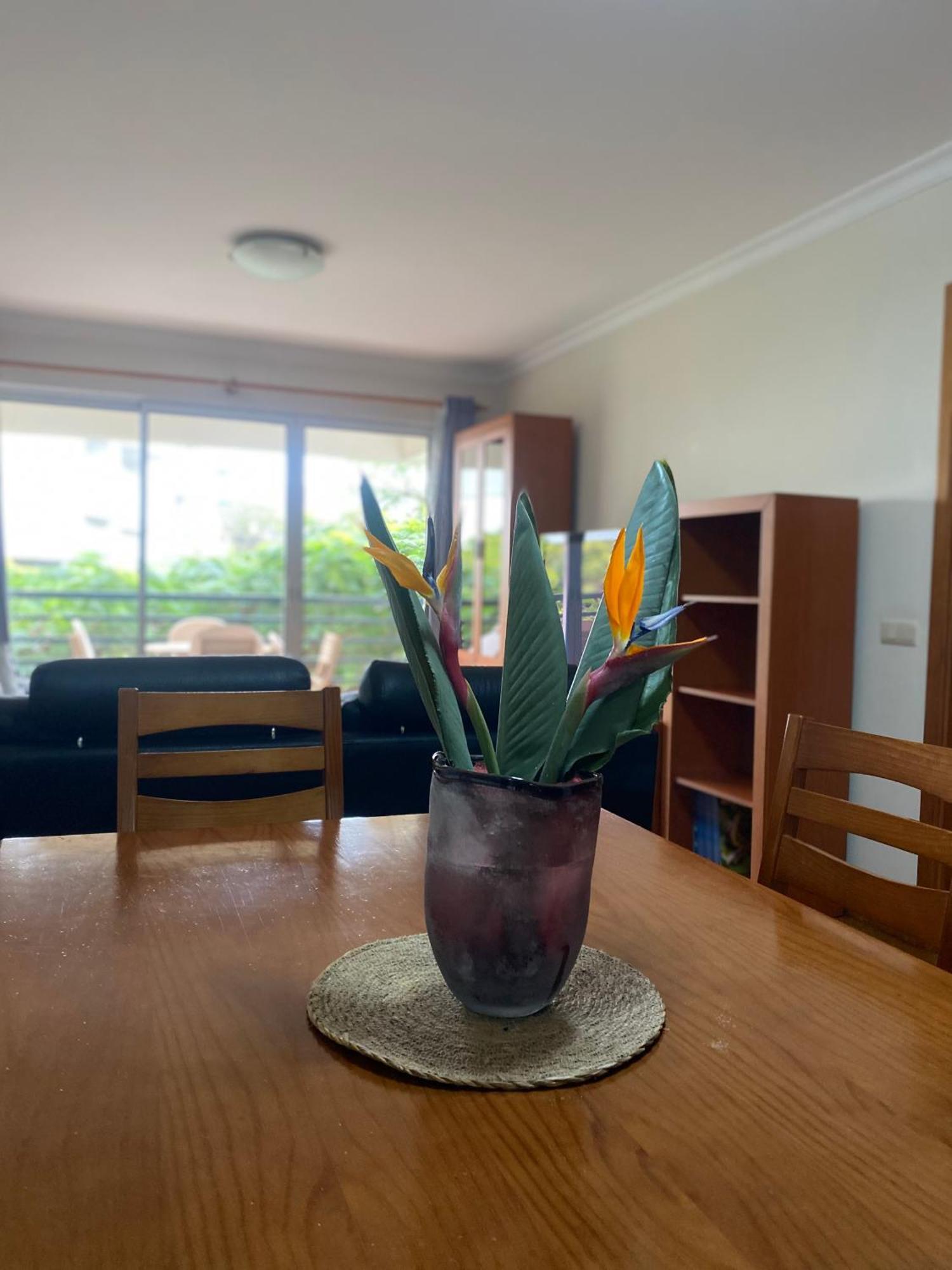 Apartamento Costa Do Sol V Funchal  Eksteriør billede